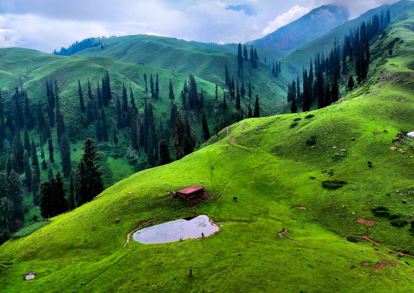 Pakistan